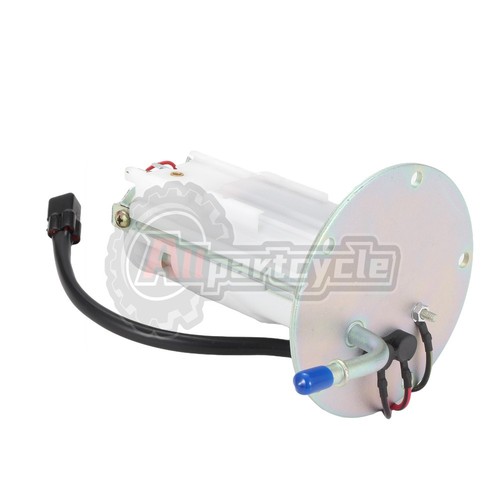 Fuel pump assembly for - fuel,