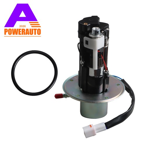 Fuel pump assembly - fuel, for