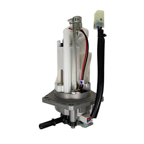 Fuel pump assembly for - fuel,